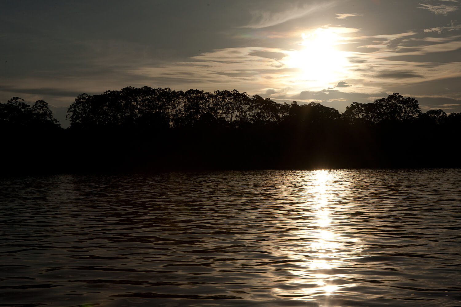 AMAZONAS 32 rio galeria_MG_4342.jpg